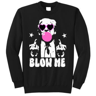 Blow Me Funny Trump Donald Trump 2024 Sweatshirt