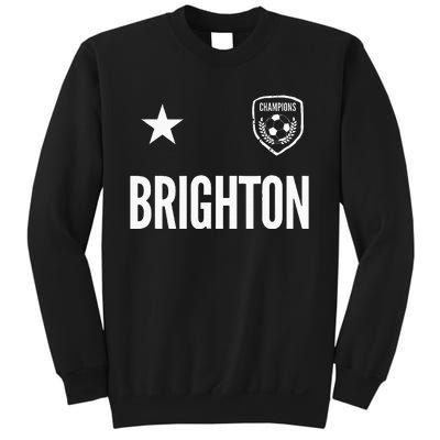 Bruh Meme Funny Saying Brother Greeting Teens Bruh Cat Sweatshirt