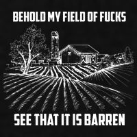 Behold My Field Of Fucks See That It Is Barren Ladies PosiCharge Tri-Blend Wicking Tank