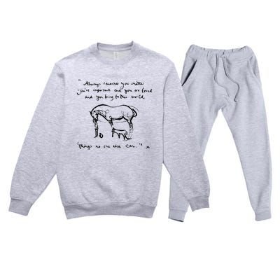 Boy Mole Fox And Horse Quote Always Remember You Matter Premium Crewneck Sweatsuit Set