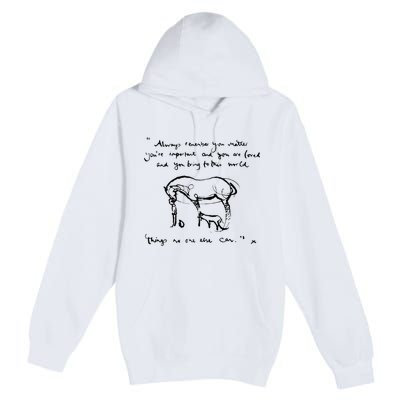 Boy Mole Fox And Horse Quote Always Remember You Matter Premium Pullover Hoodie