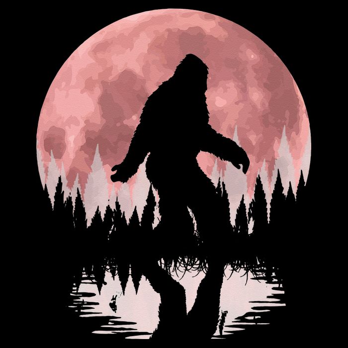 Bigfoot Moon Graphic Night Forest! Cool Sasquatch Flat Bill Trucker Hat