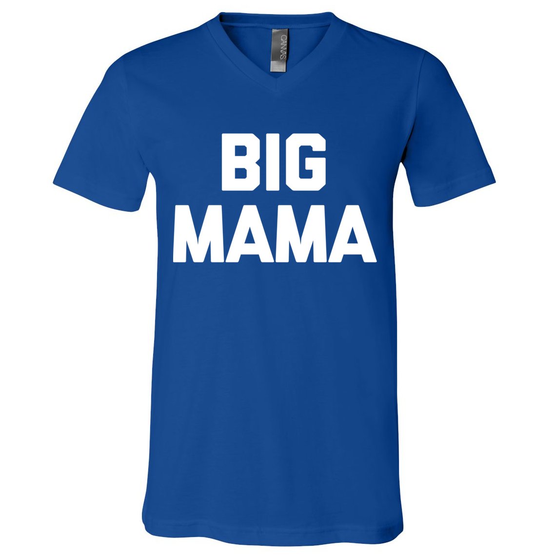 Big Mama Gift Funny Saying Sarcastic Novelty Cute Mom Great Gift V-Neck T-Shirt