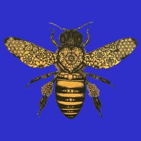 Beekeeper Meaningful Gift Honeycomb Honey Bee Compass Beekeeping Great Gift Women's V-Neck T-Shirt