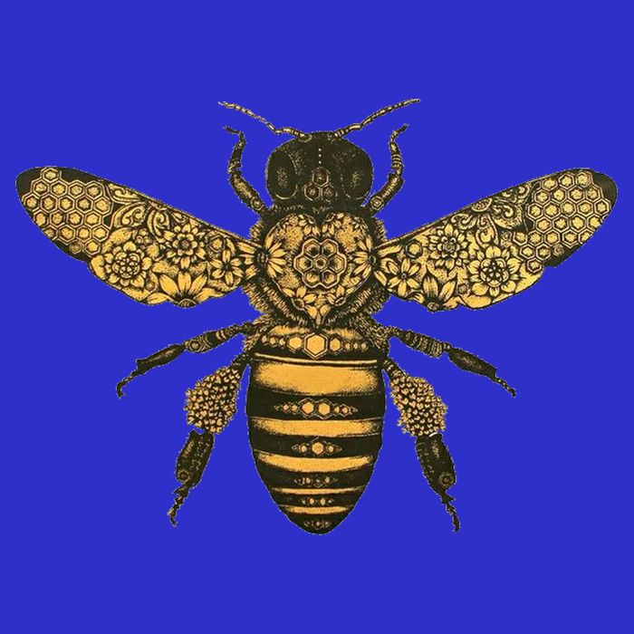 Beekeeper Meaningful Gift Honeycomb Honey Bee Compass Beekeeping Great Gift Women's V-Neck T-Shirt