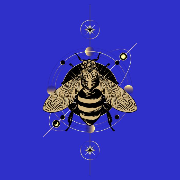 Beekeeper Meaningful Gift Honeycomb Honey Bee Compass Beekeeping Great Gift Premium T-Shirt
