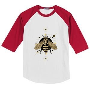 Beekeeper Meaningful Gift Honeycomb Honey Bee Compass Beekeeping Great Gift Kids Colorblock Raglan Jersey