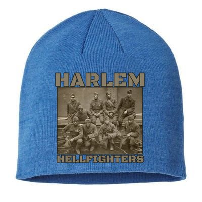 Black Military History Usa Black History Harlem Hellfighters Gift Sustainable Beanie