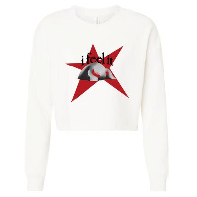 Bean Monster I Feel It Star Cropped Pullover Crew