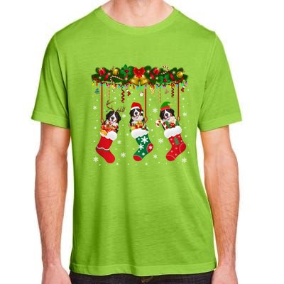 Bernese Mountain In Sock Xmas Reindeer Santa Elf Dog Gift Adult ChromaSoft Performance T-Shirt