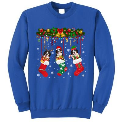 Bernese Mountain In Sock Xmas Reindeer Santa Elf Dog Gift Sweatshirt