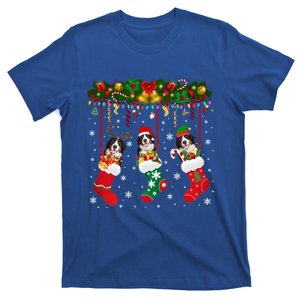 Bernese Mountain In Sock Xmas Reindeer Santa Elf Dog Gift T-Shirt