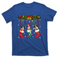 Bernese Mountain In Sock Xmas Reindeer Santa Elf Dog Gift T-Shirt