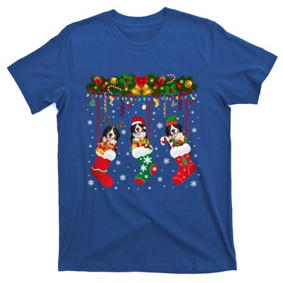 Bernese Mountain In Sock Xmas Reindeer Santa Elf Dog Gift T-Shirt