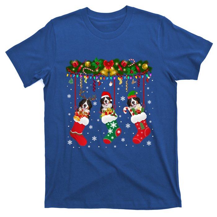 Bernese Mountain In Sock Xmas Reindeer Santa Elf Dog Gift T-Shirt