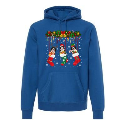 Bernese Mountain In Sock Xmas Reindeer Santa Elf Dog Gift Premium Hoodie