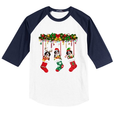 Bernese Mountain In Sock Xmas Reindeer Santa Elf Dog Gift Baseball Sleeve Shirt