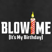 Blow Me Its My Birthday Adult Drive Performance Visor