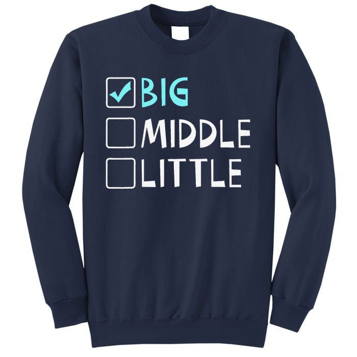 Big Middle Little Big Brother Gift Sweatshirt