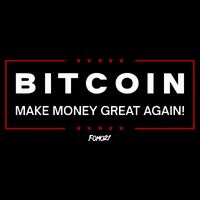 Bitcoin Make Money Great Again Cropped Pullover Crew