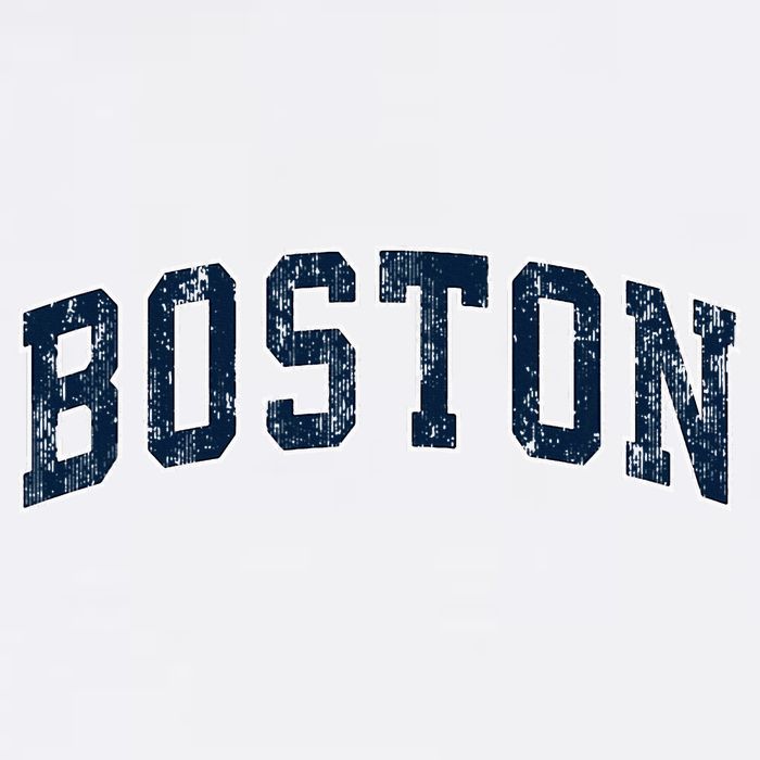 Boston Massachusetts Ma Vintage Sports Design N.A.V.Y Beanie