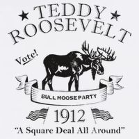 Bull Moose Party Vintage Teddy Roosevelt Campaign Political Mug