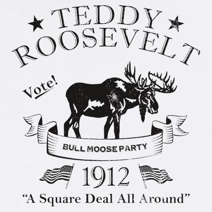 Bull Moose Party Vintage Teddy Roosevelt Campaign Political Mug