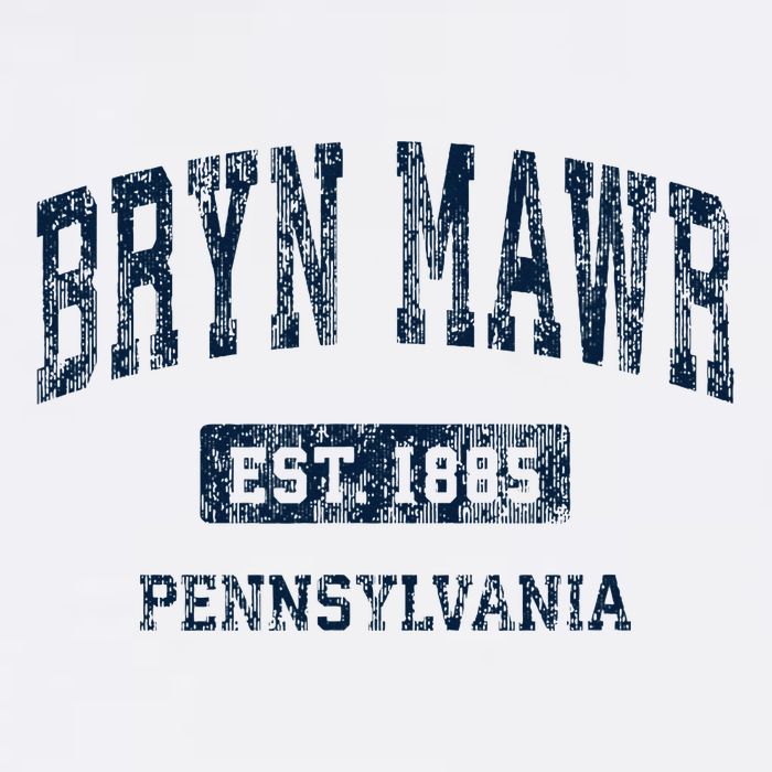 Bryn Mawr Pennsylvania Pa Vintage Athletic Sports Design Hat