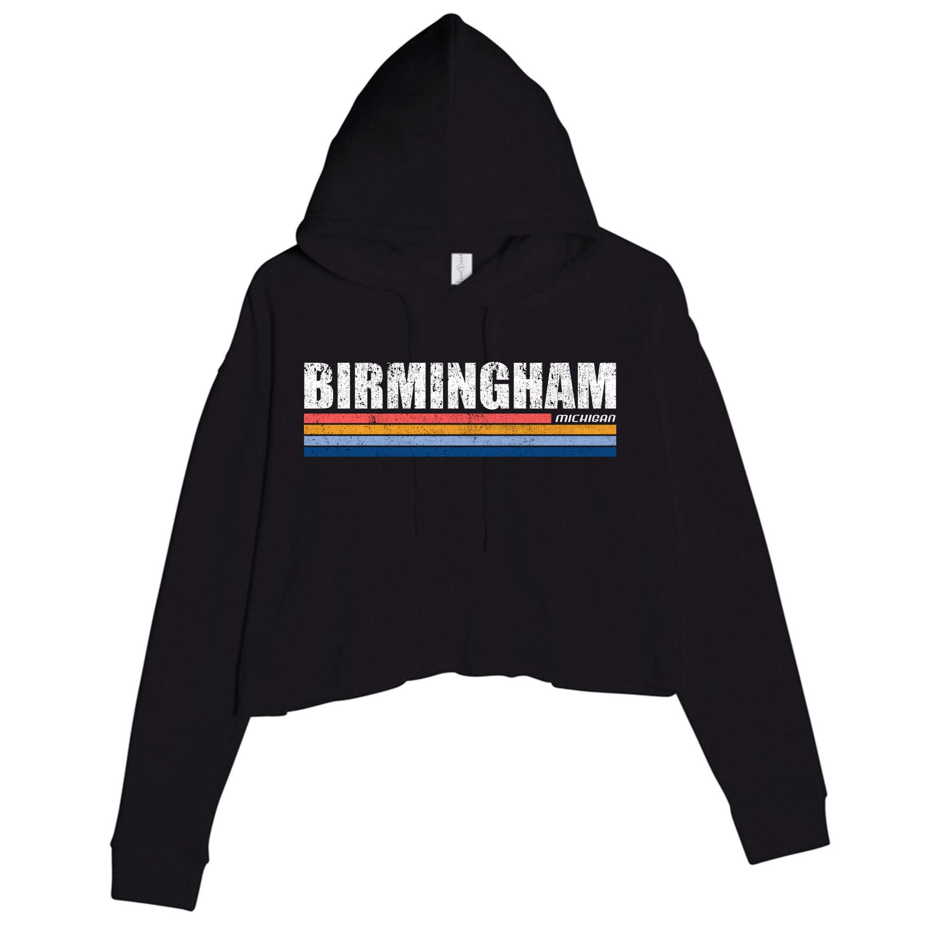 Birmingham Michigan Retro Crop Fleece Hoodie