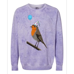 Bird Motif Robin Bird Animal Drawing Birthday Colorblast Crewneck Sweatshirt