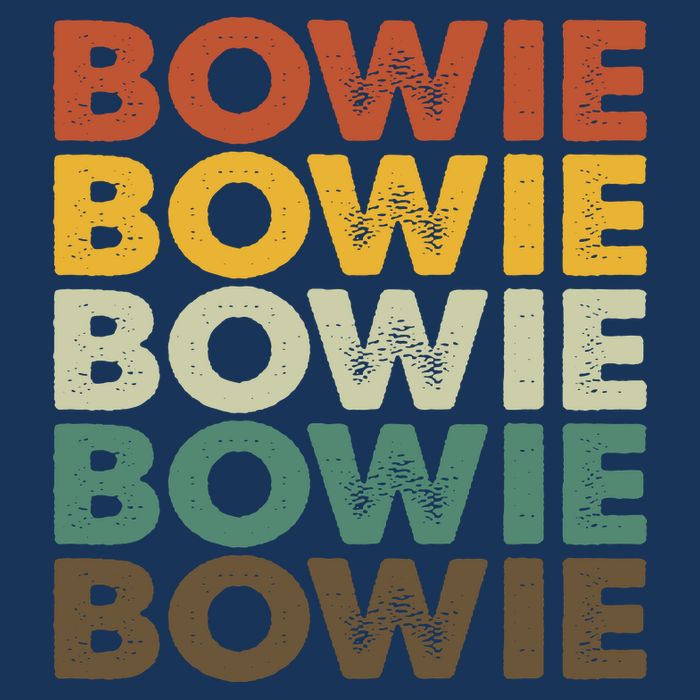 Bowie Maryland Retro Vintage Hoodie