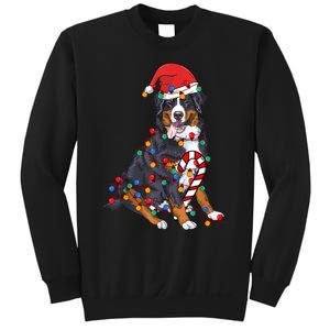 Bernese Mountain Santa Christmas Lights Dog Lover Pajama Sweatshirt