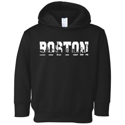 Boston Massachusetts Skyline Graphic Apparel Toddler Hoodie