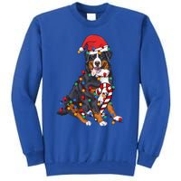 Bernese Mountain Santa Christmas Lights Dog Lover Pajama  Tall Sweatshirt