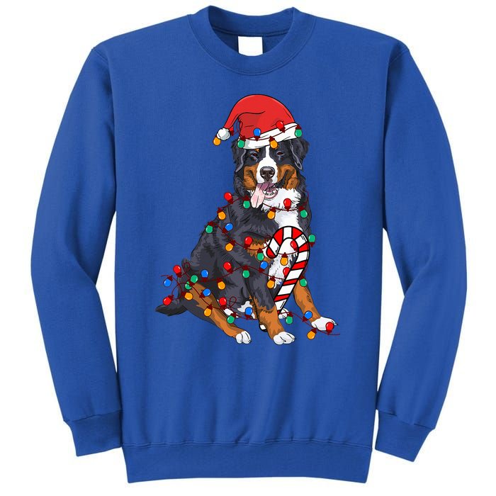 Bernese Mountain Santa Christmas Lights Dog Lover Pajama  Tall Sweatshirt