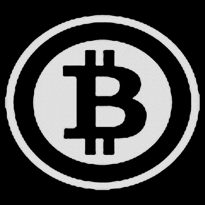 Bitcoin Michael Saylor 16 in Basic Backpack
