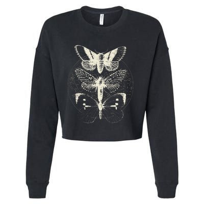 Butterfly Moth Witchcore Insect Astronomy Lover Witchy Cropped Pullover Crew