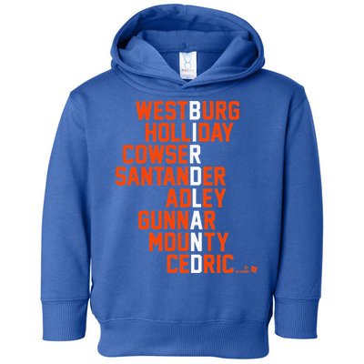 Birdland Names 2024 Baltimore Baseball Toddler Hoodie