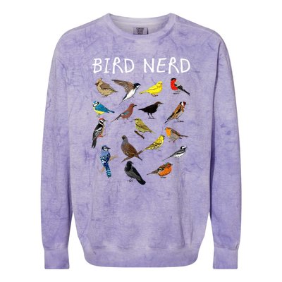 Bird Nerd Colorblast Crewneck Sweatshirt