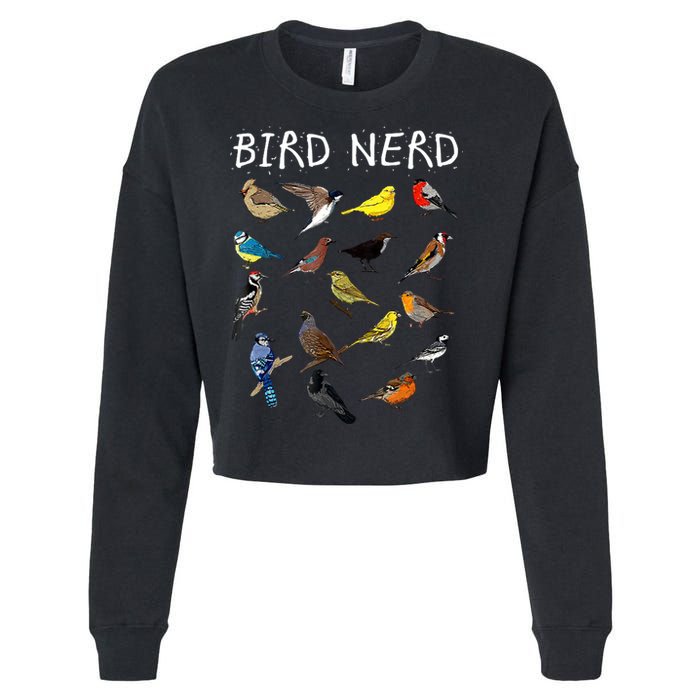 Bird Nerd Cropped Pullover Crew
