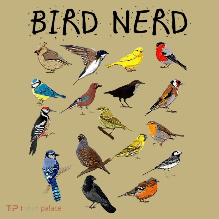 Bird Nerd Hoodie