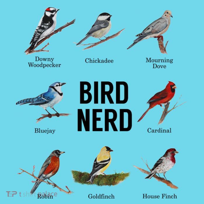 Bird Nerd Bird Lover Or Watcher Gift Button