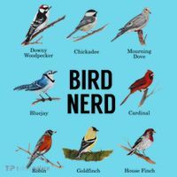 Bird Nerd Bird Lover Or Watcher Gift Magnet