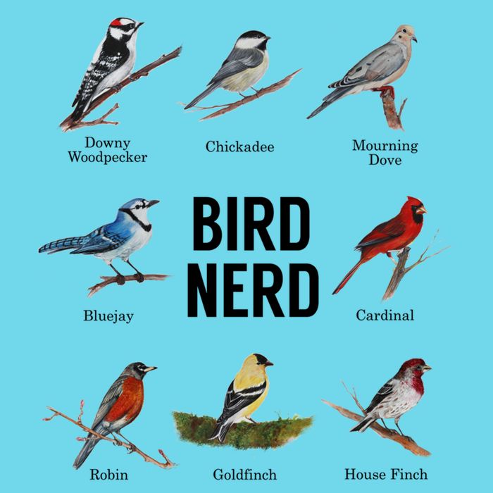 Bird Nerd Bird Lover Or Watcher Gift Womens T-Shirt