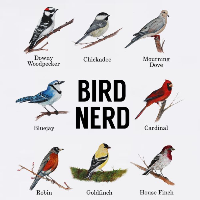 Bird Nerd Bird Lover Or Watcher Gift Garment-Dyed Sweatshirt