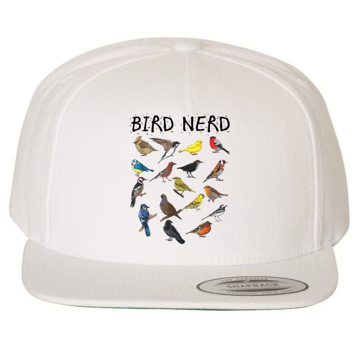 Bird Nerd Different Kinds Of Bird Gift Cute Bird Gift Wool Snapback Cap