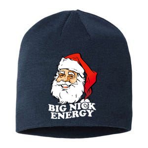 Big Nick Energy Sustainable Beanie