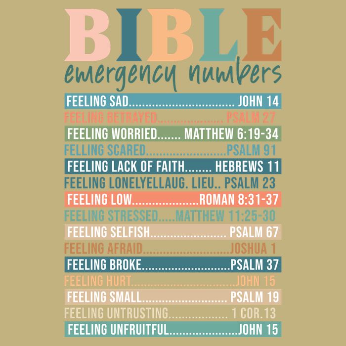 Bible Nutrition Emergency Numbers Hoodie
