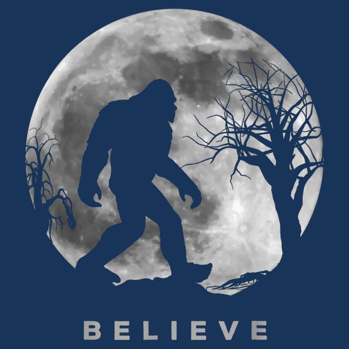 Bigfoot Night Full Moon I Believe Sasquatch 16 in Basic Backpack