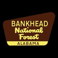 Bankhead National Forest T Alabama Drawstring Bag